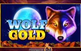Wolf Gold